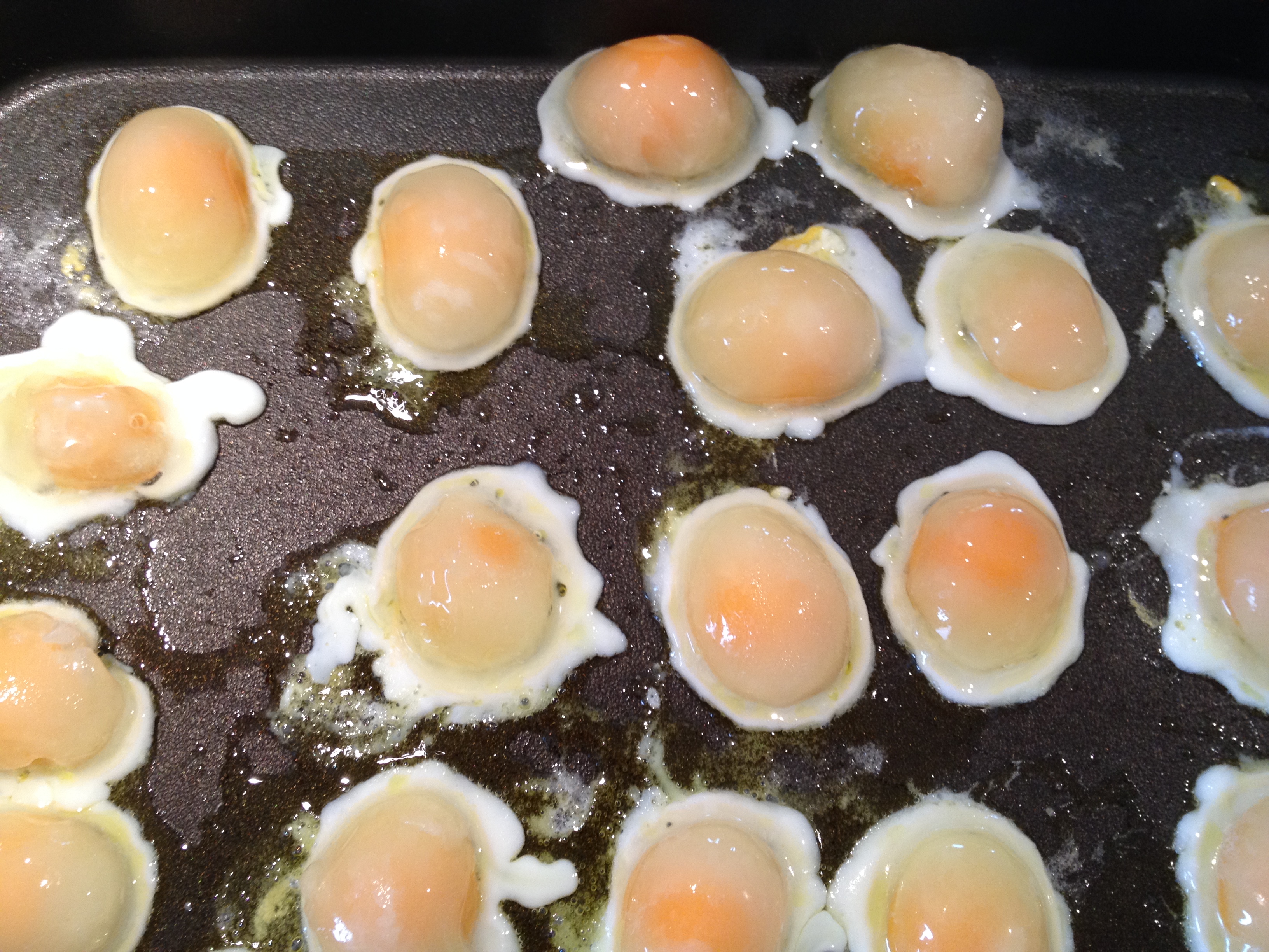 Можно замораживать вареные яйца. Замороженные яйца. Жареные вареные яйца. Замороженная яичница. Жарка замороженных яиц.