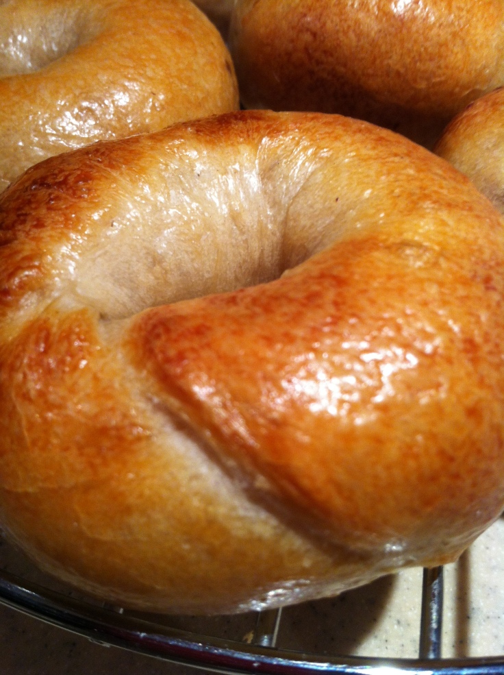 Bagels Made with Natural Yeast